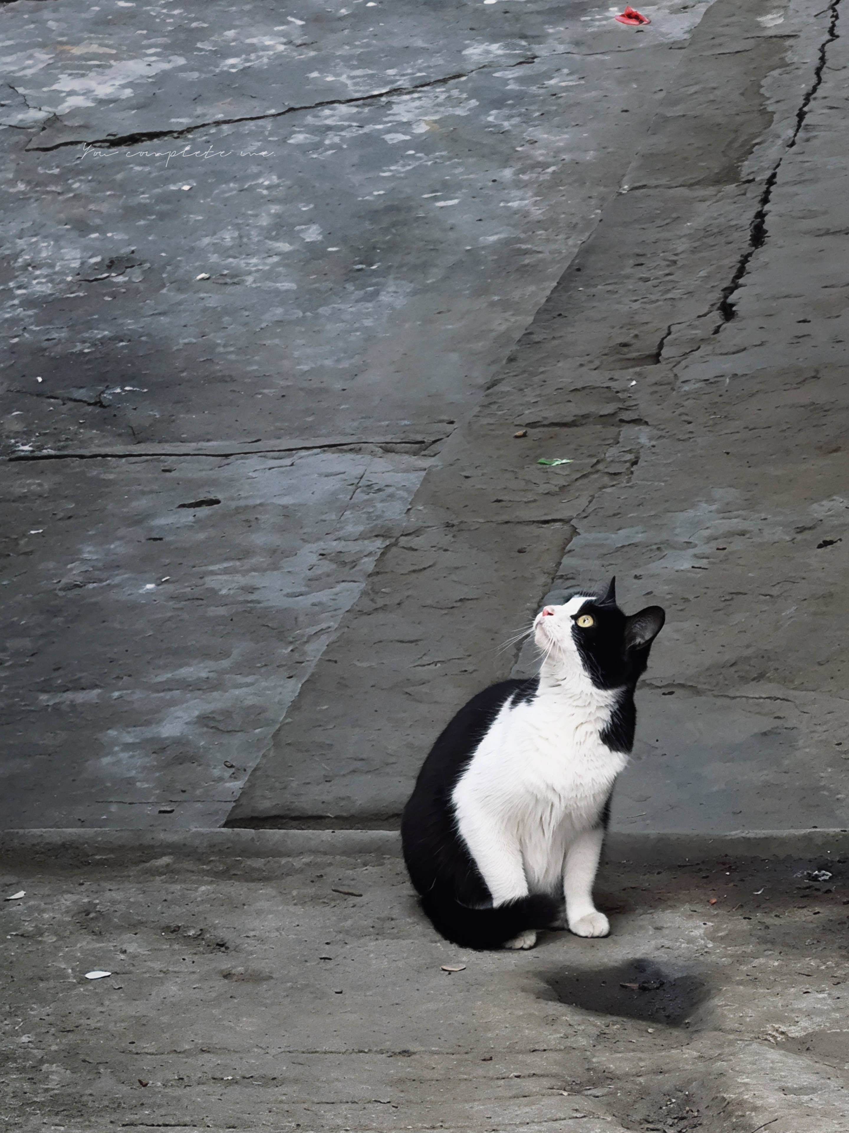 又又