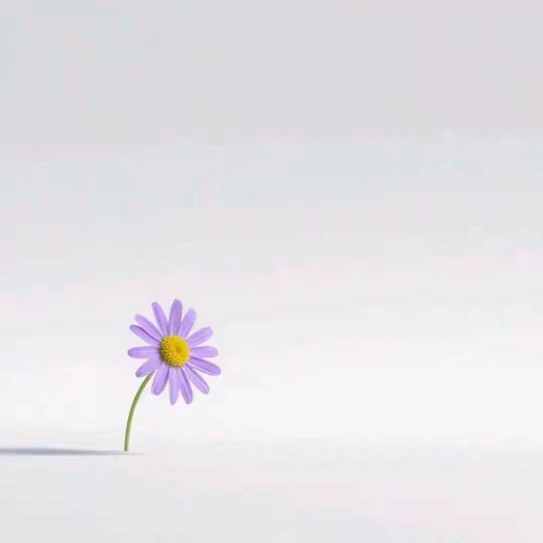 哈哈