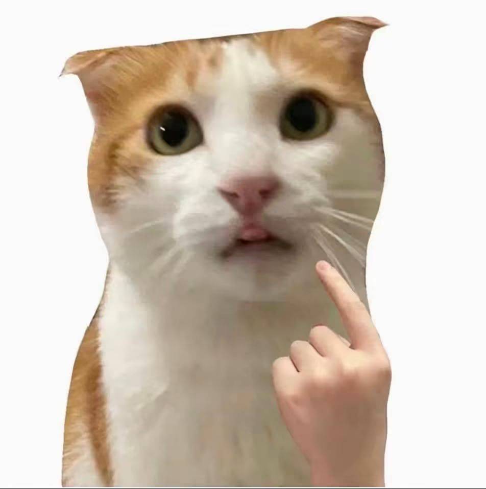 馒头是只小公猫