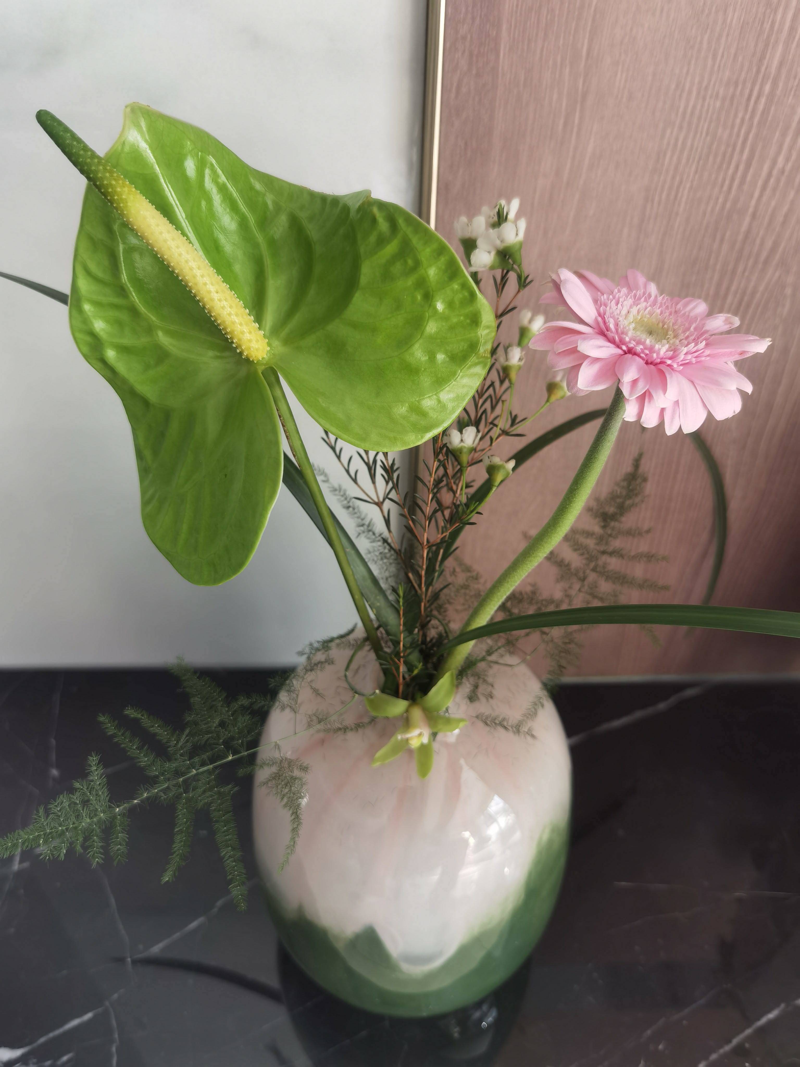 好房房东直租