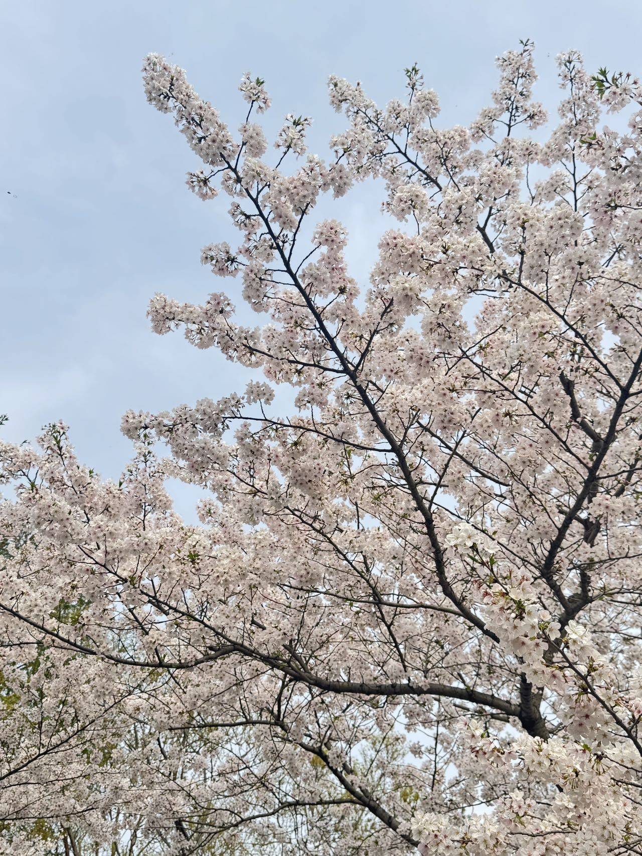Frühling