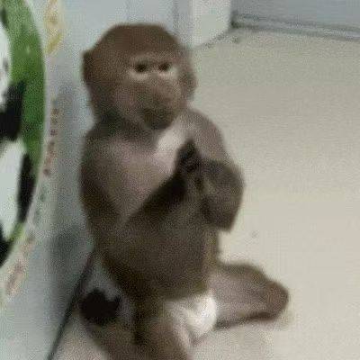 嗯嗯嗯