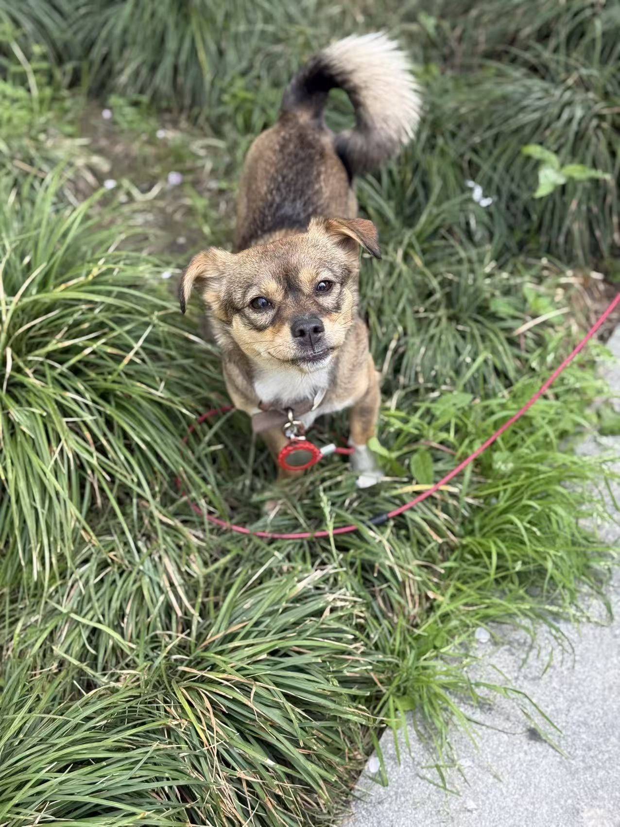 life_photo_3