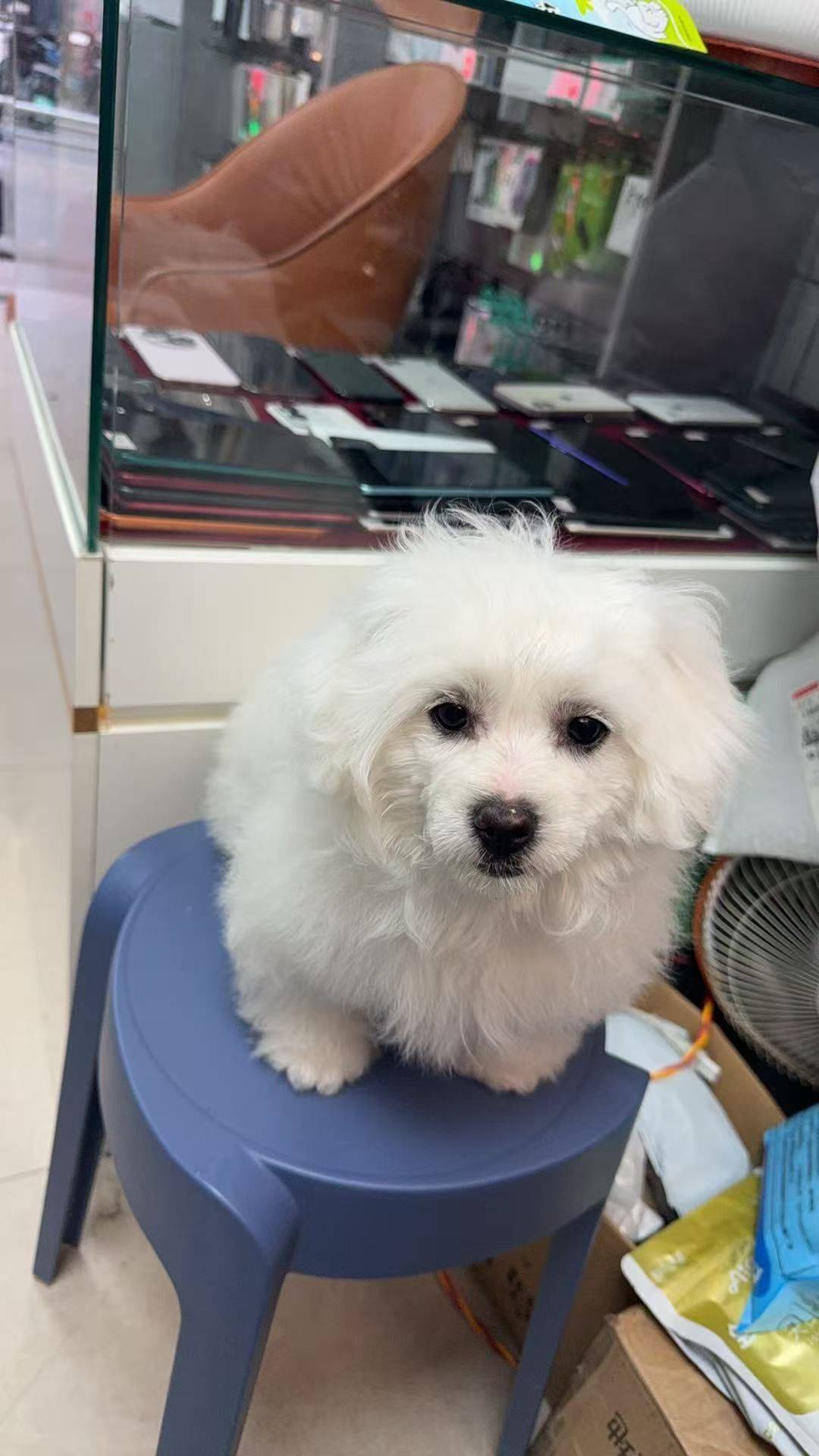 手机维修