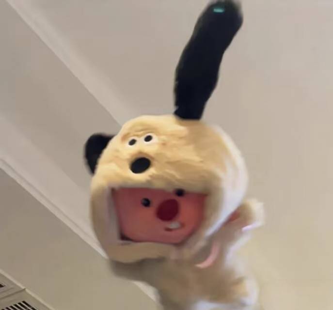 我说实话