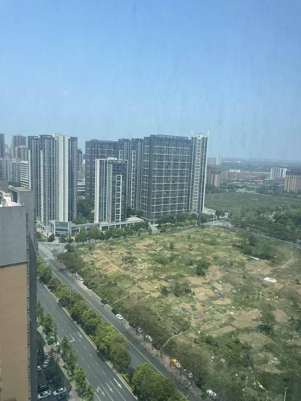 life_photo_0