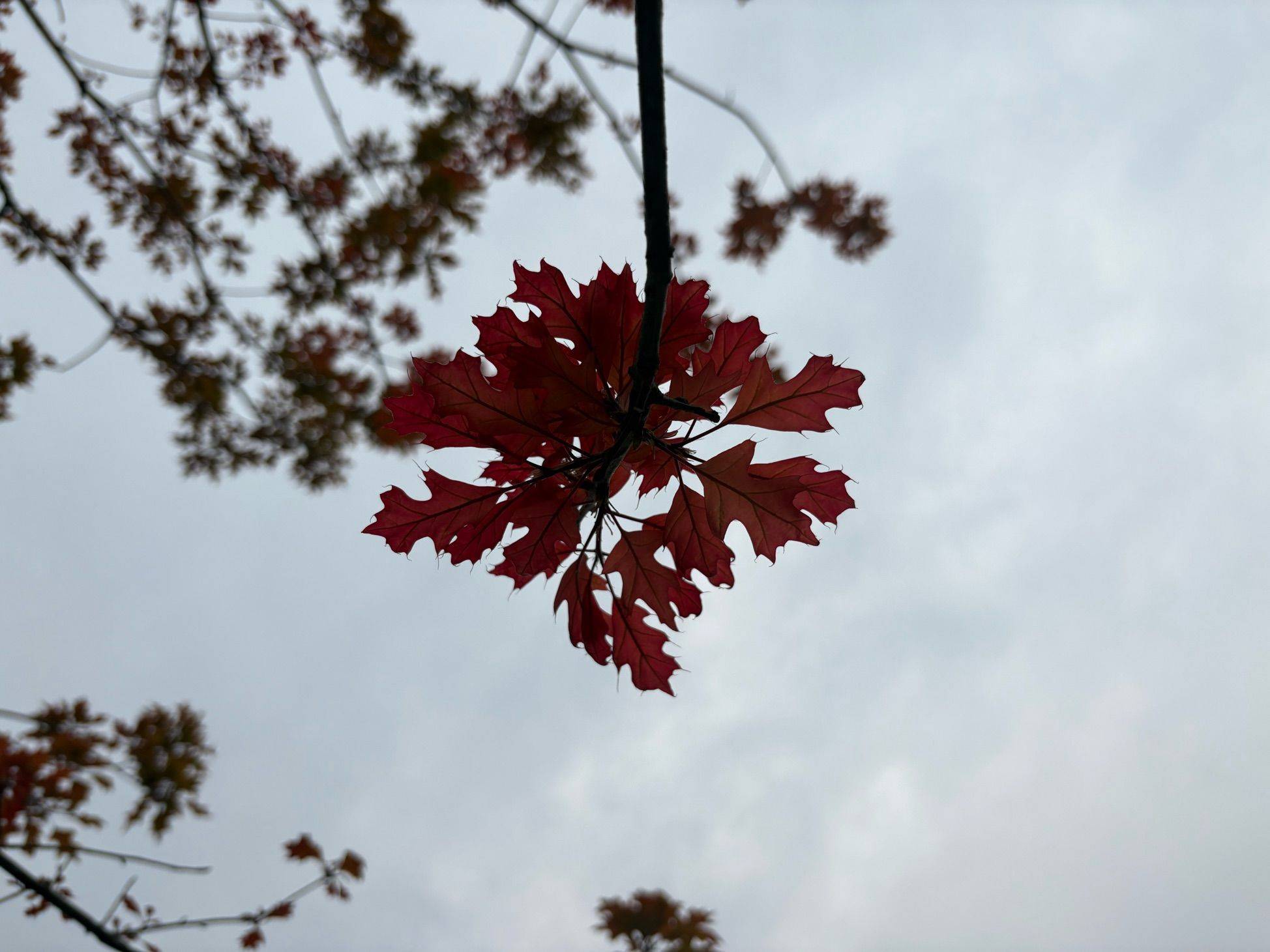 花花世界