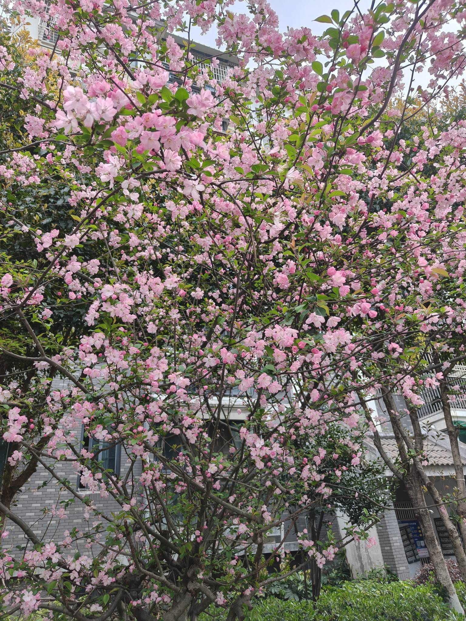 我听见日子翻页的声音