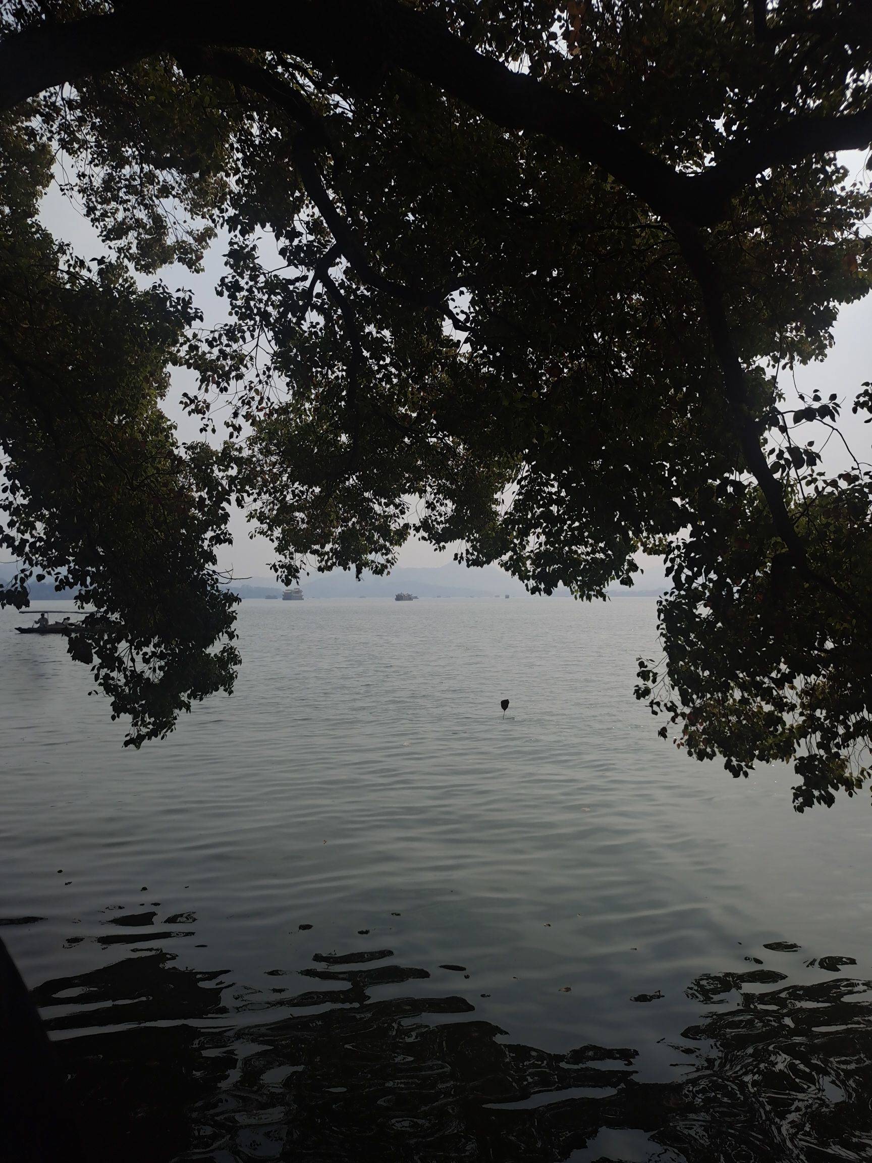 home