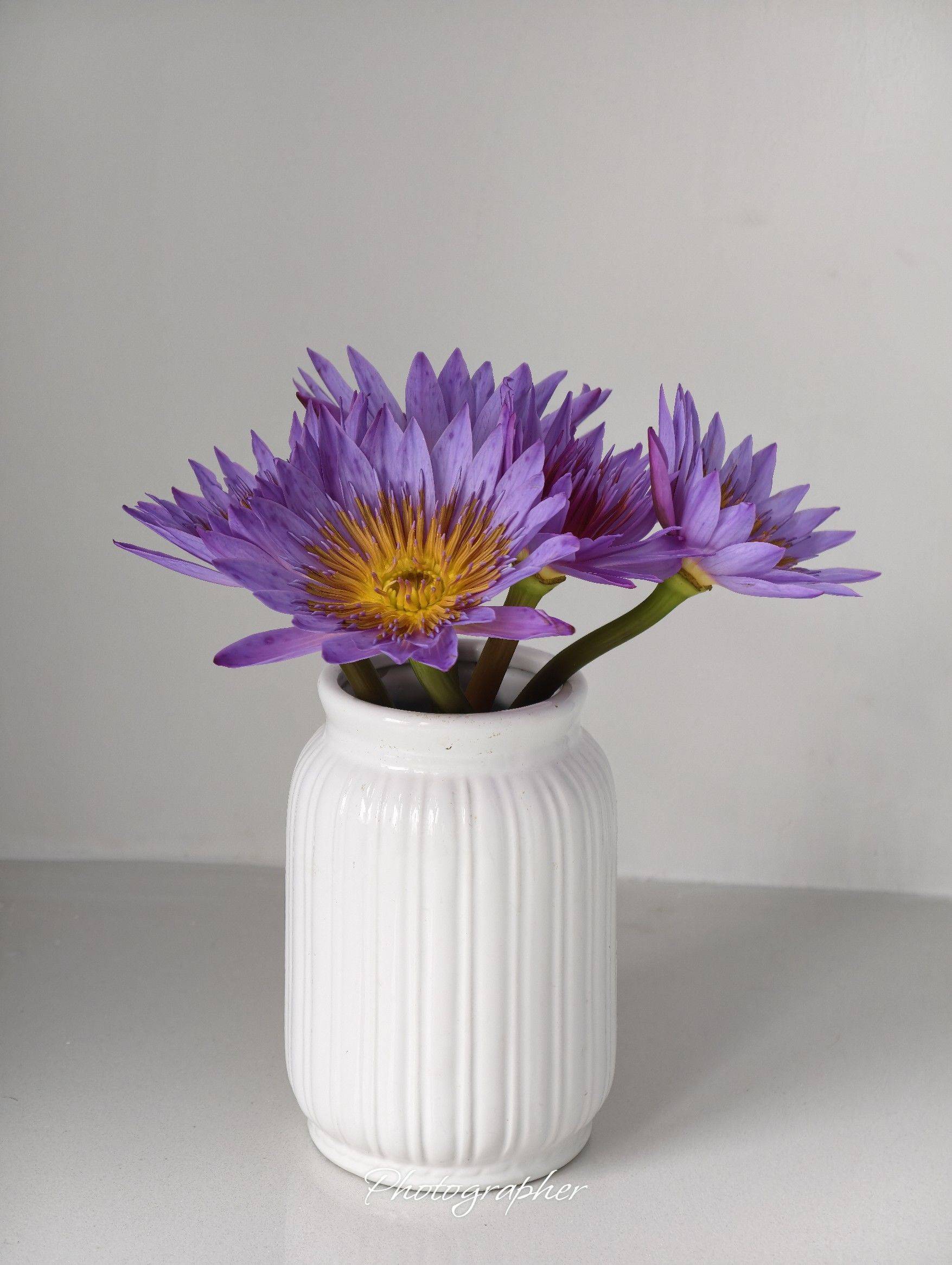 life_photo_0