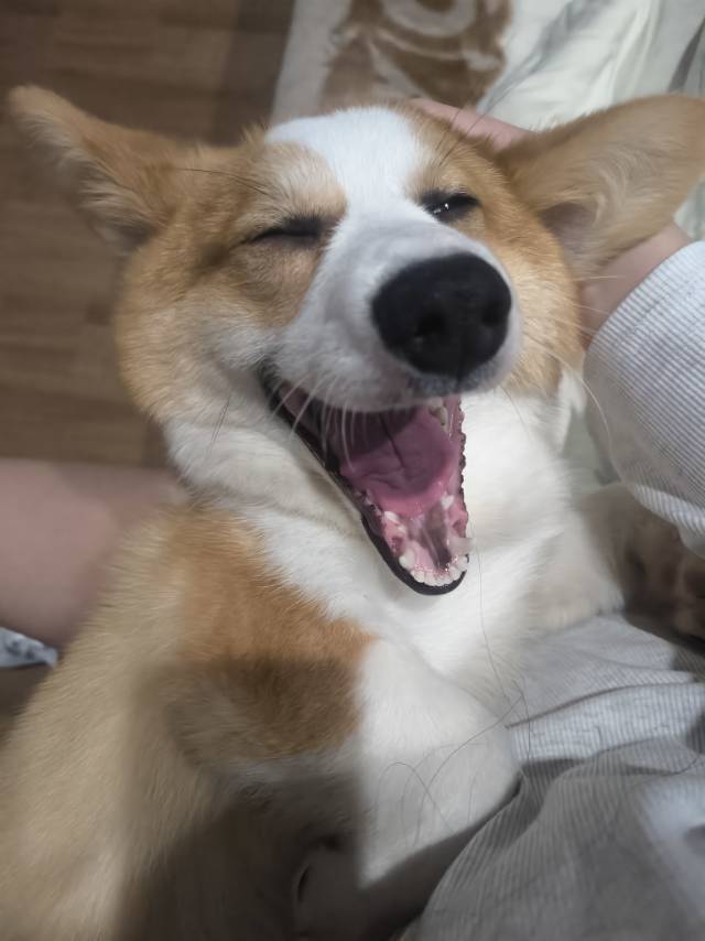 郝清纯