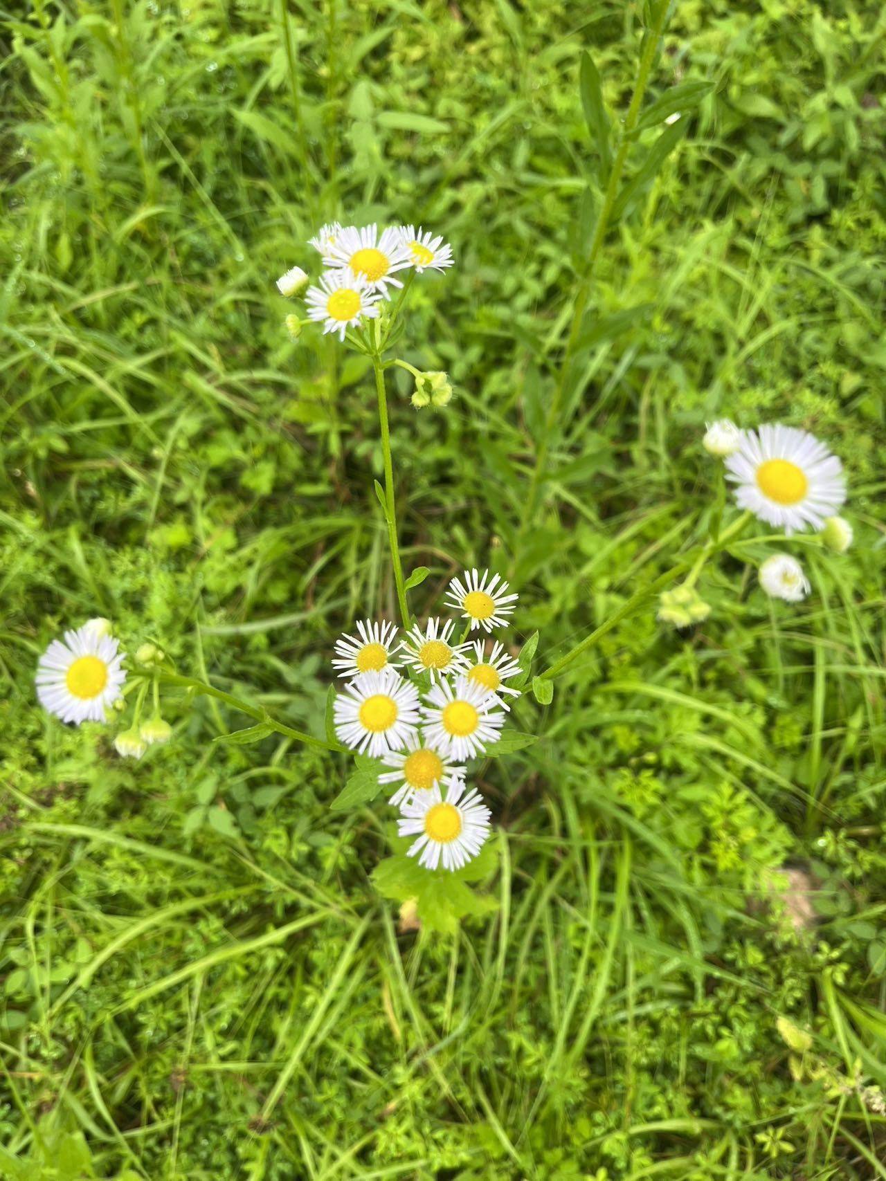 111