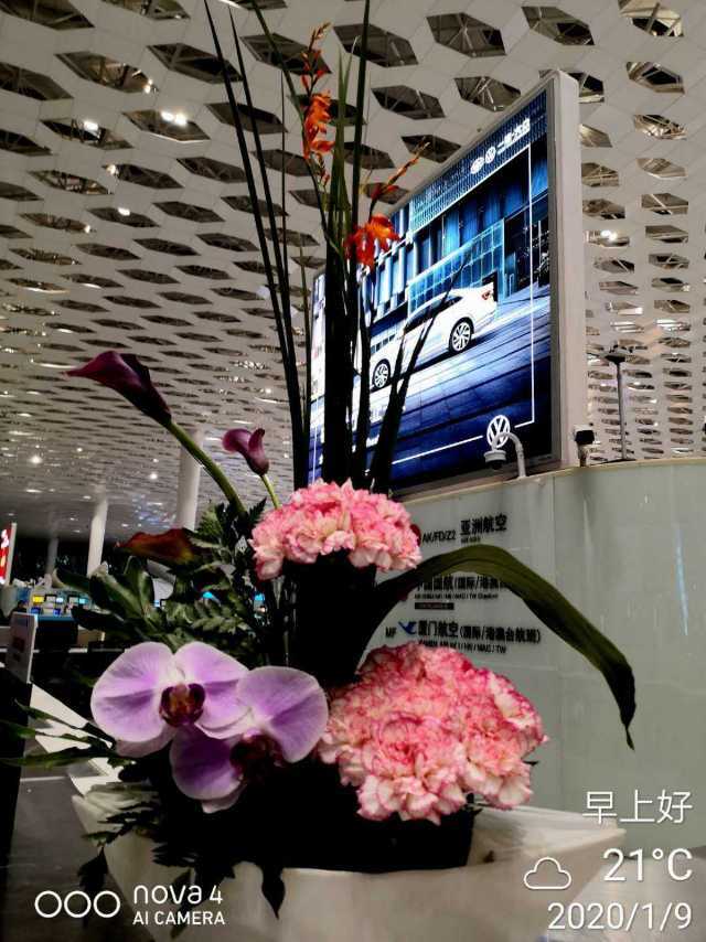 鸟语花香