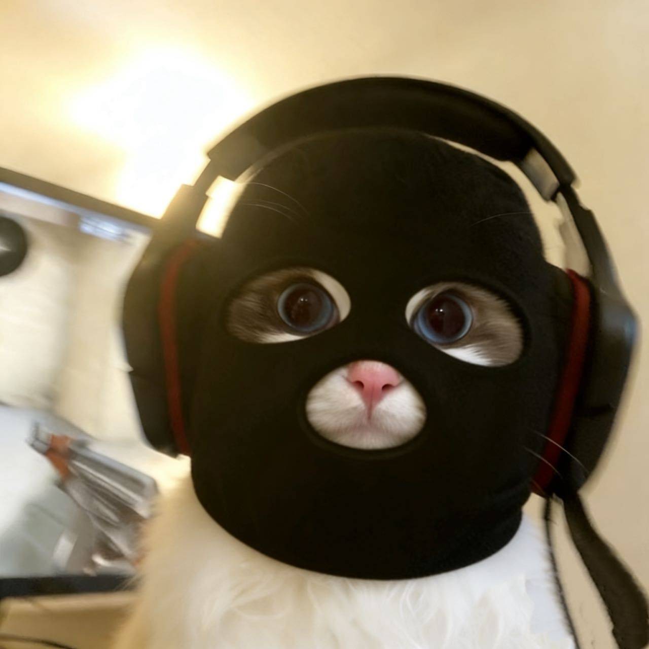 等天放晴