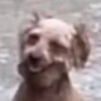 惊了