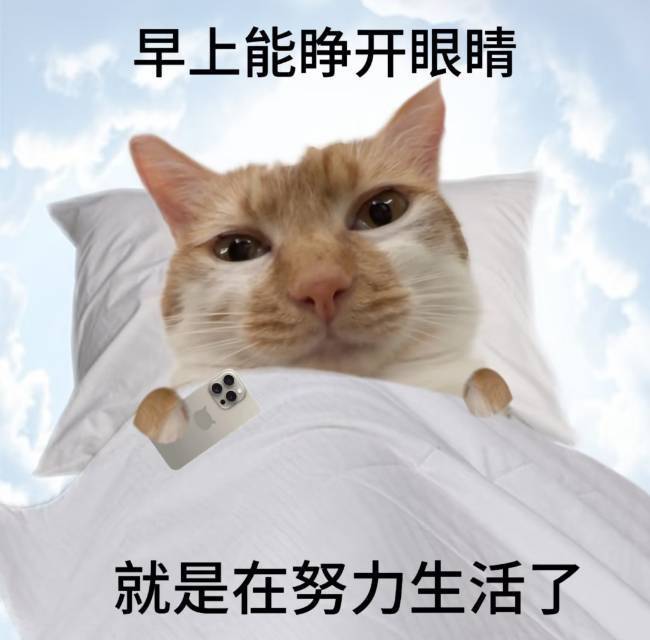 曹阿井