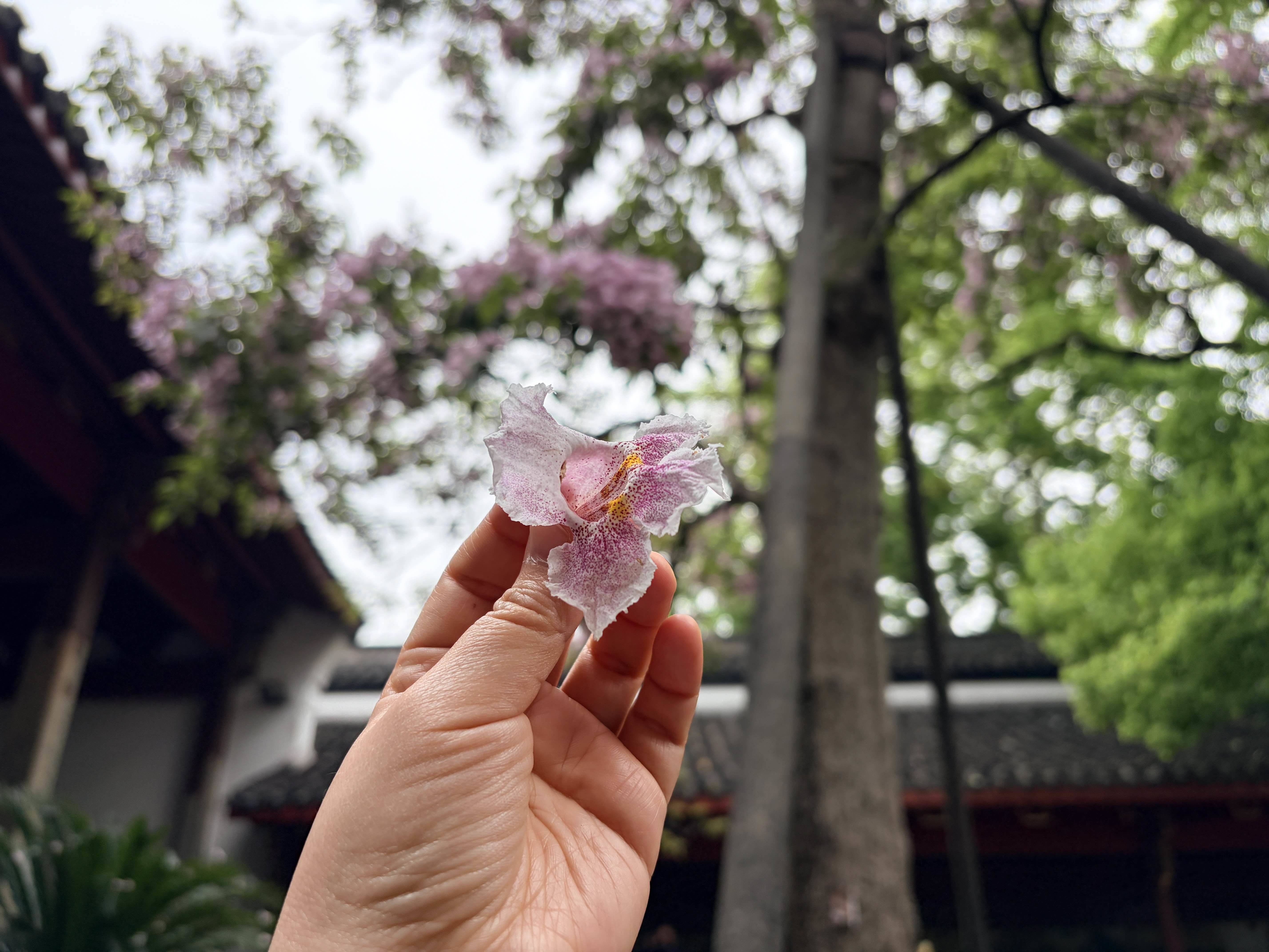 陈百斤