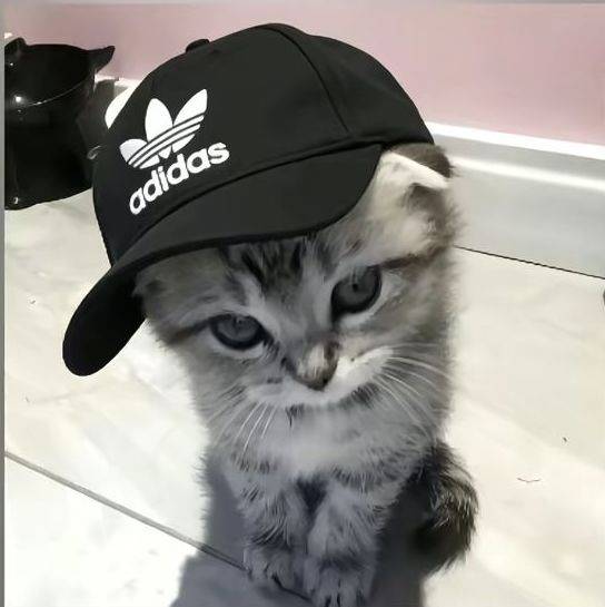小元