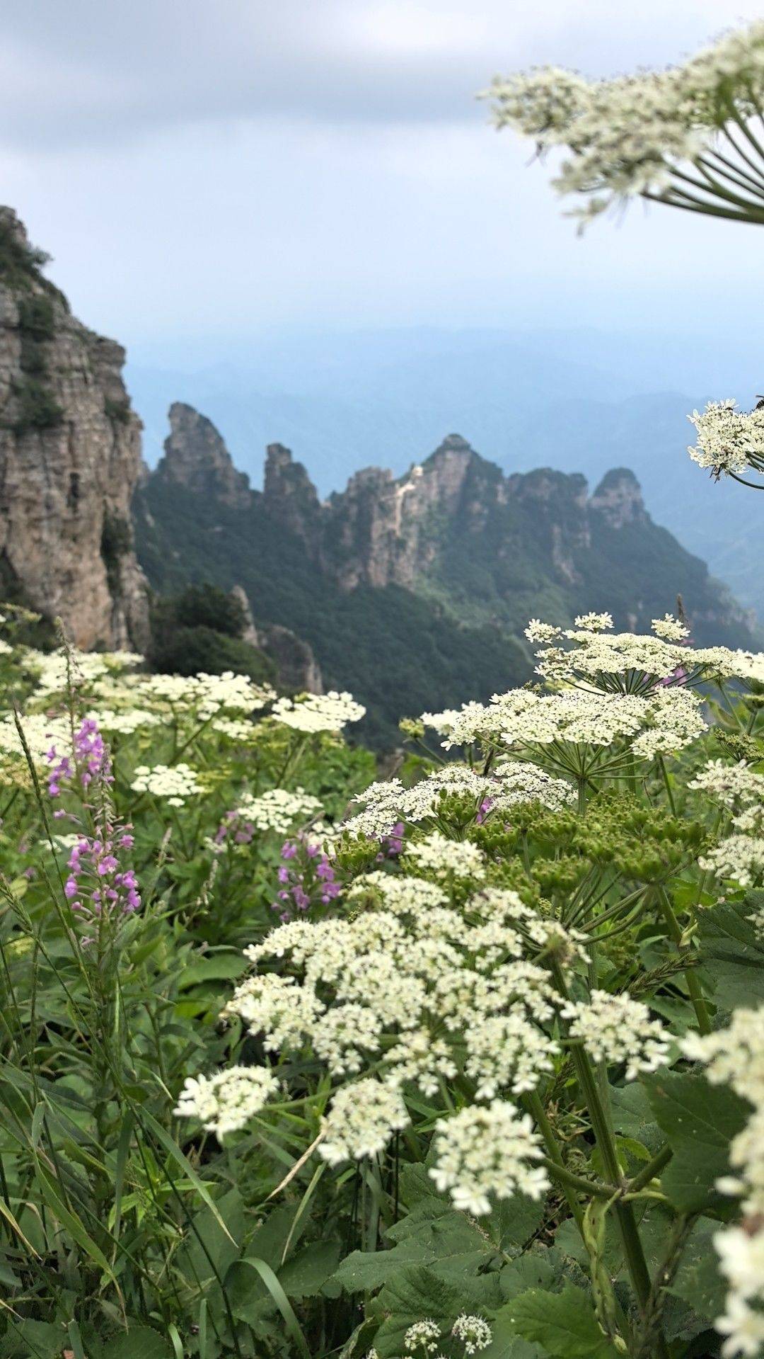 衣不如新