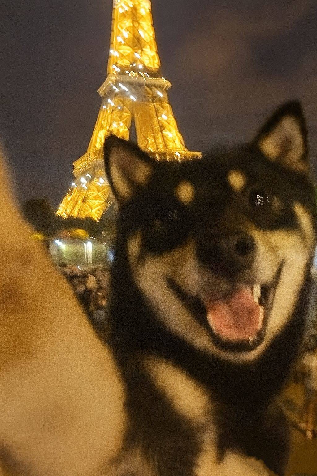 杭杭出状元