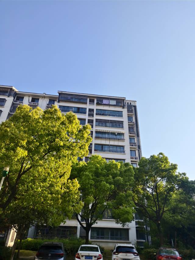 李