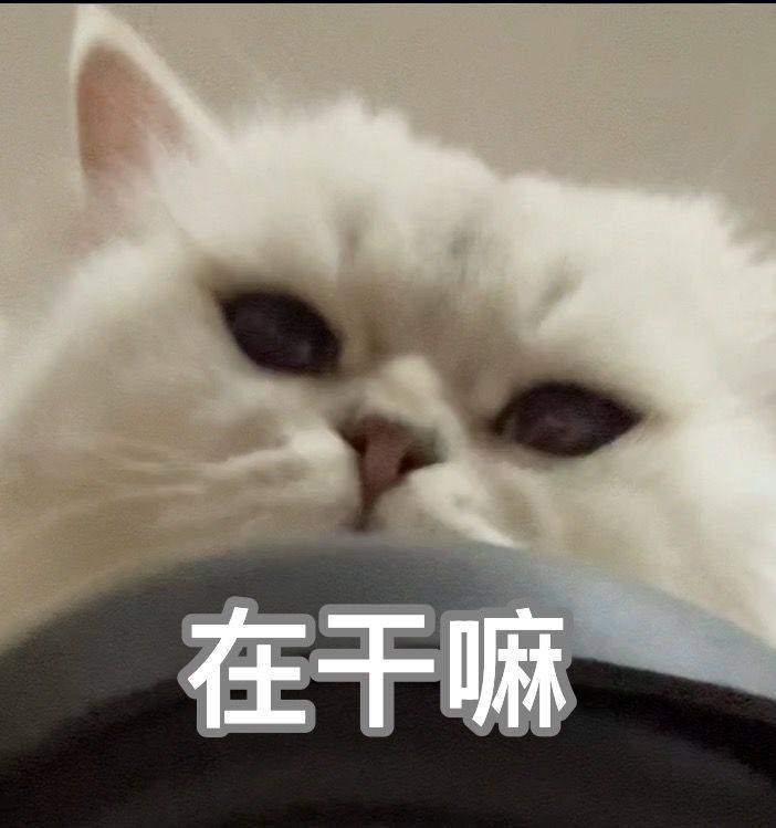 109