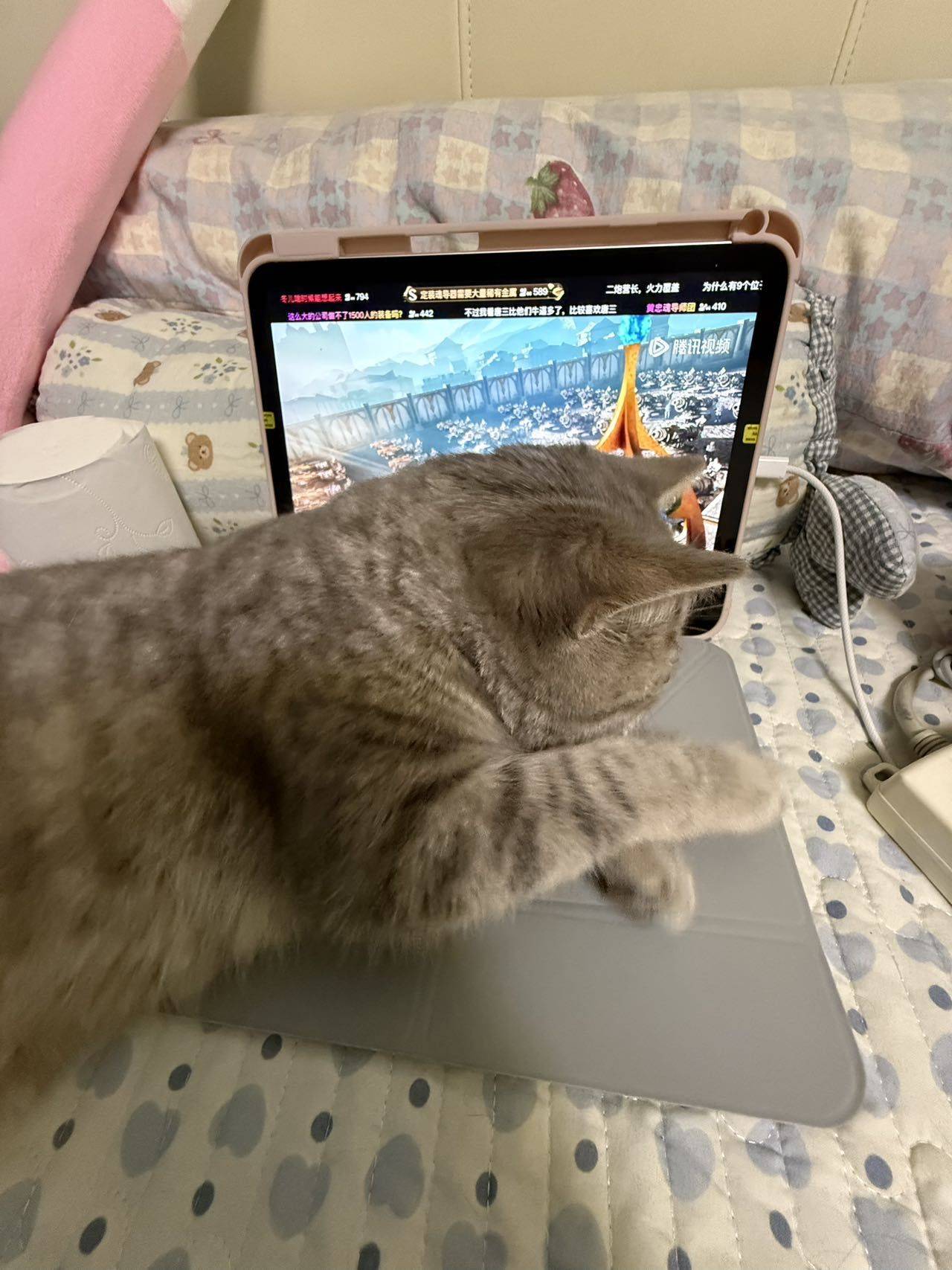 Ö椰.