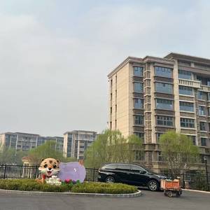 忧郁的张总