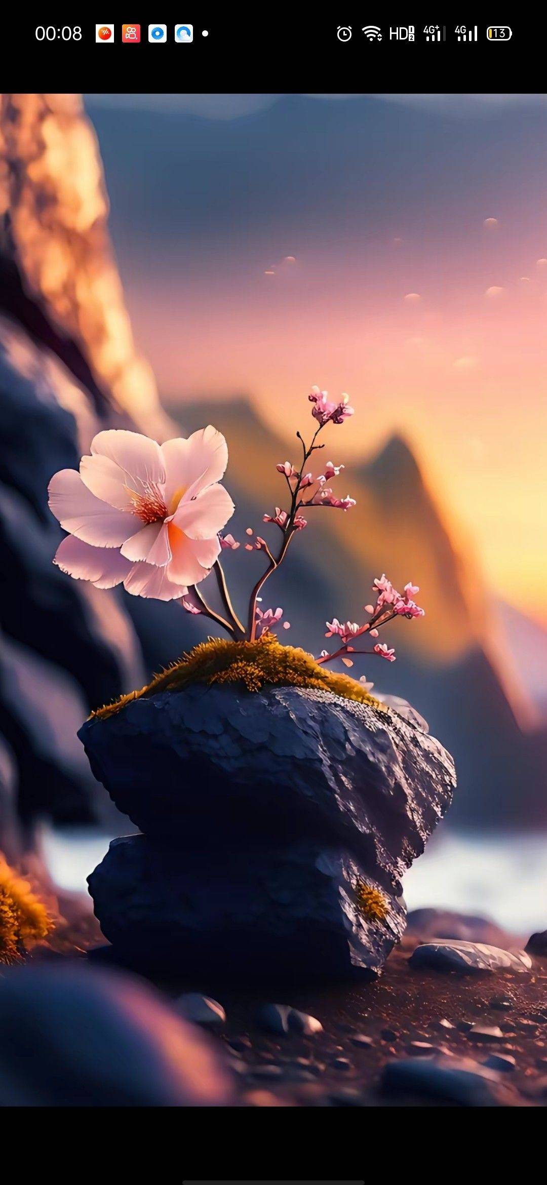 心想事成