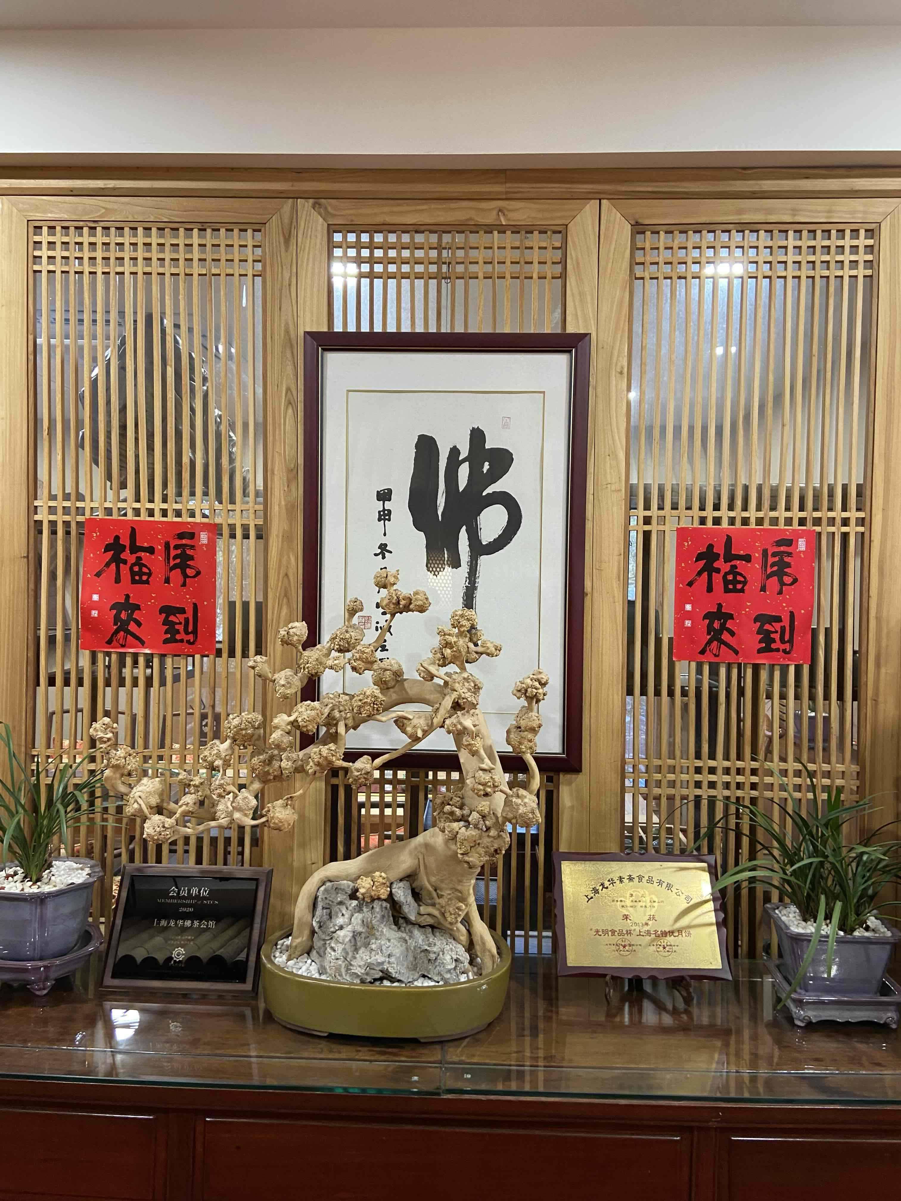 life_photo_2