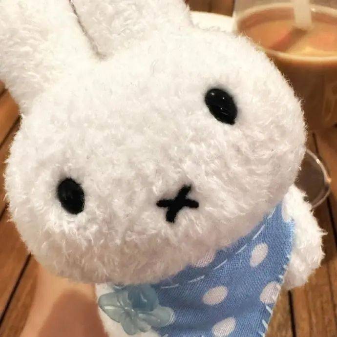 ꉂ(ˊᗜˋ*)
