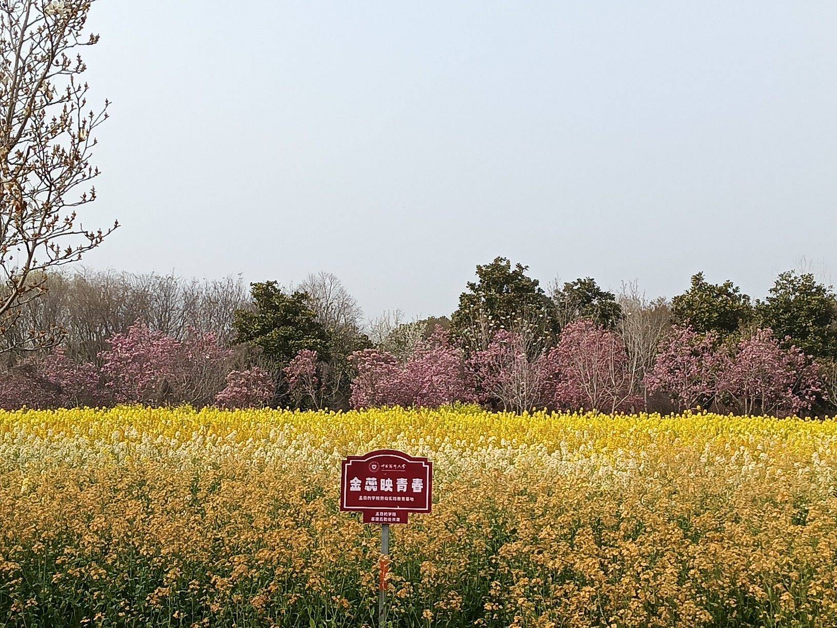 life_photo_1