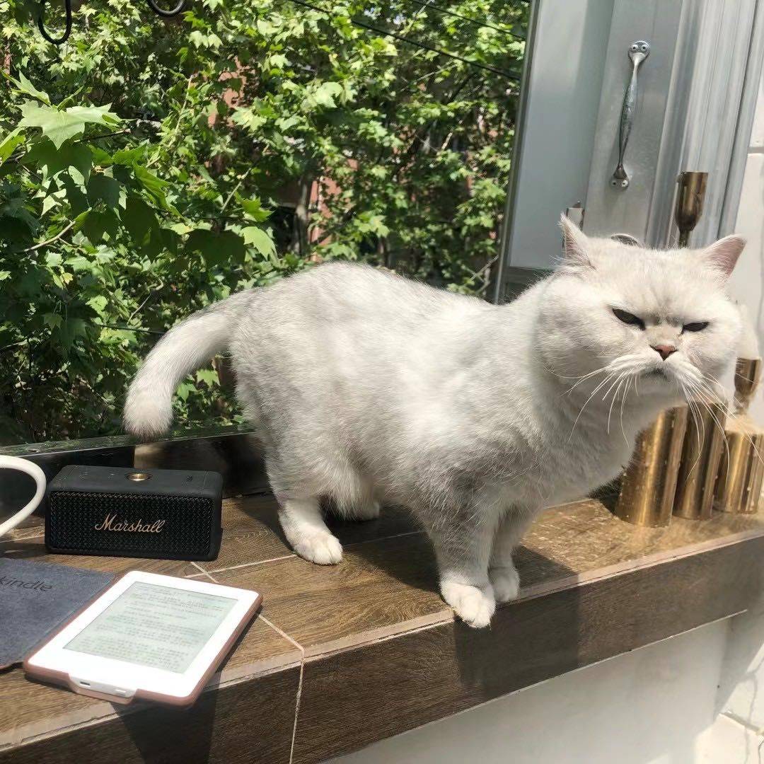 Sophie