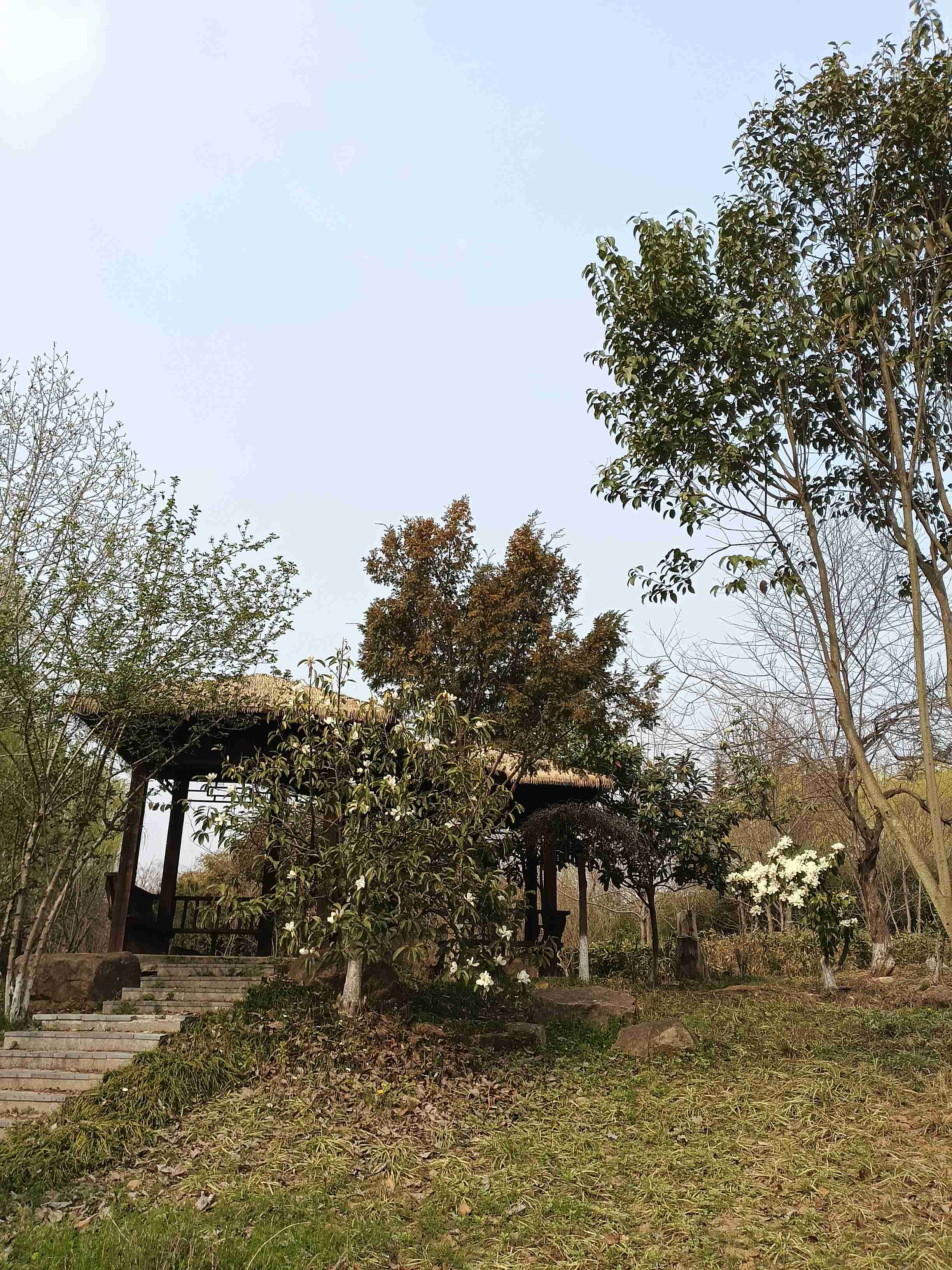 life_photo_4