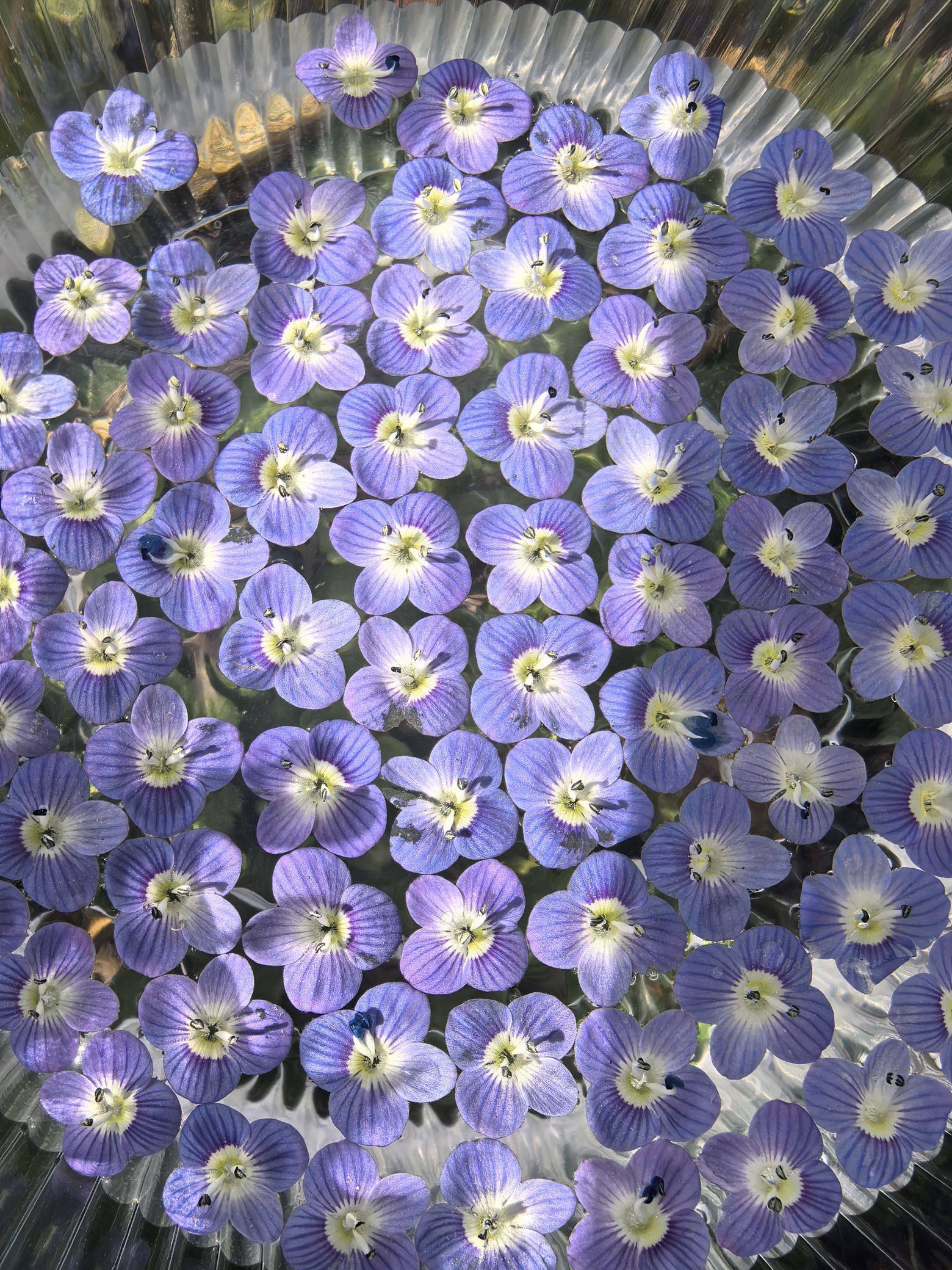 112