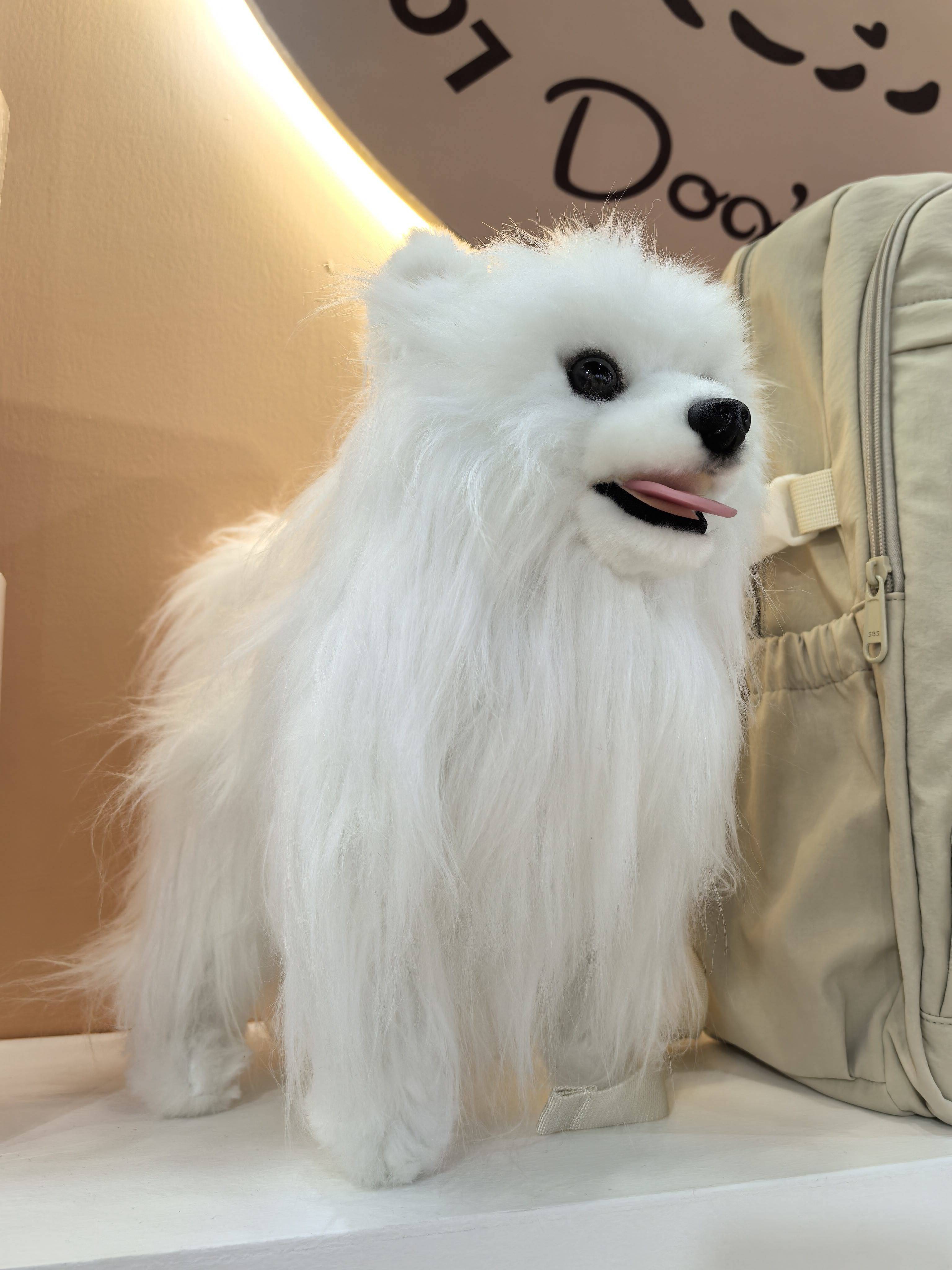 大龙
