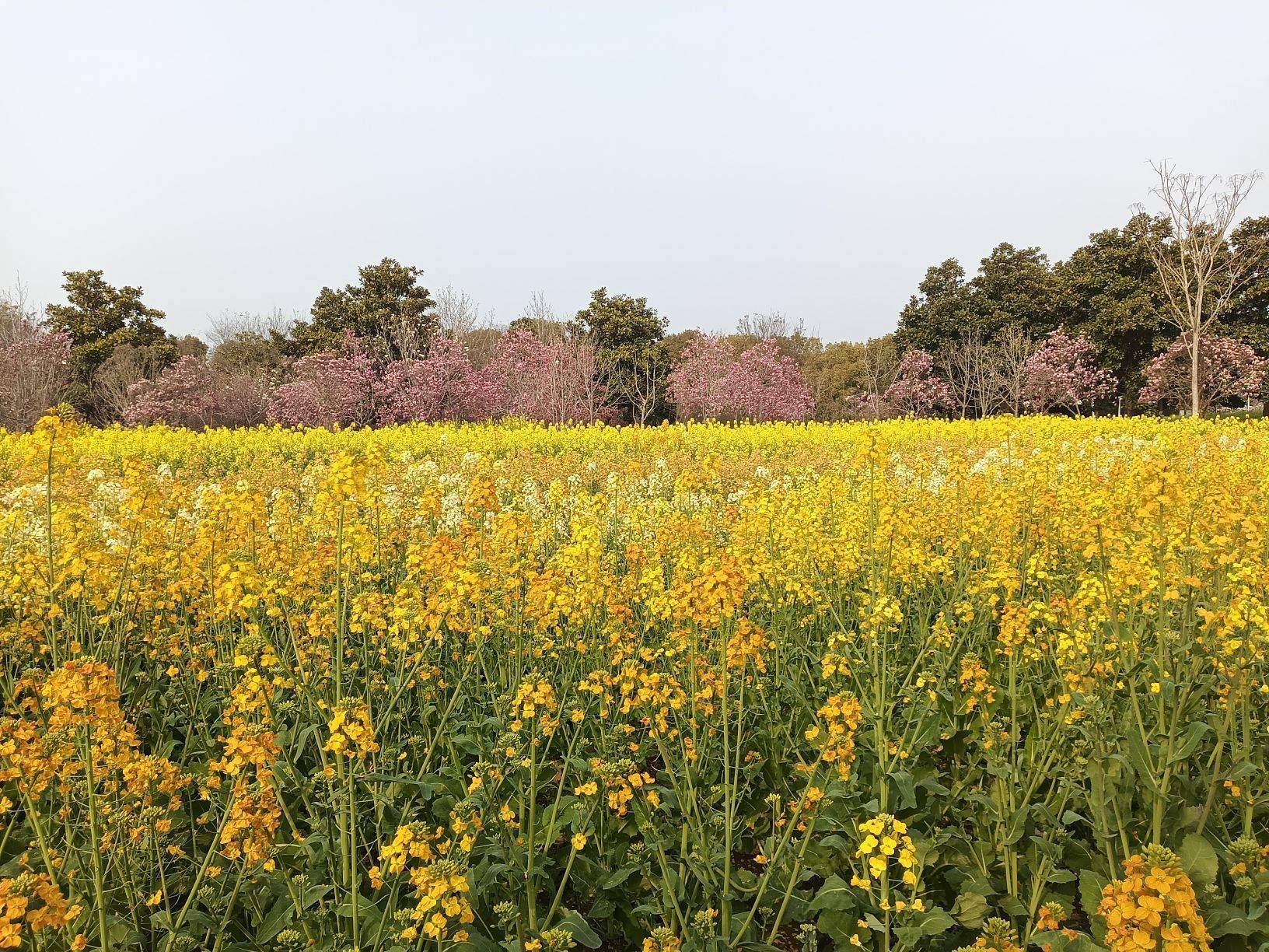 life_photo_0