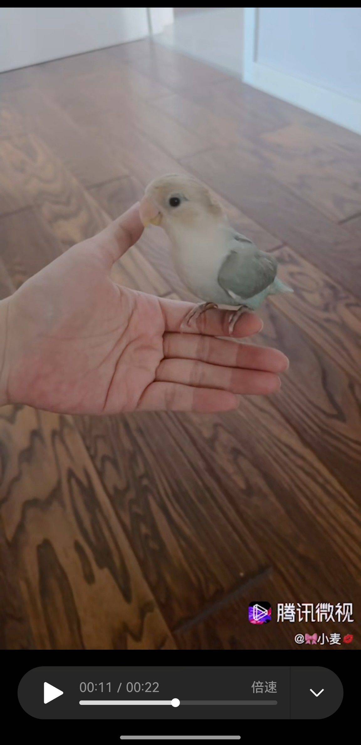 敏子