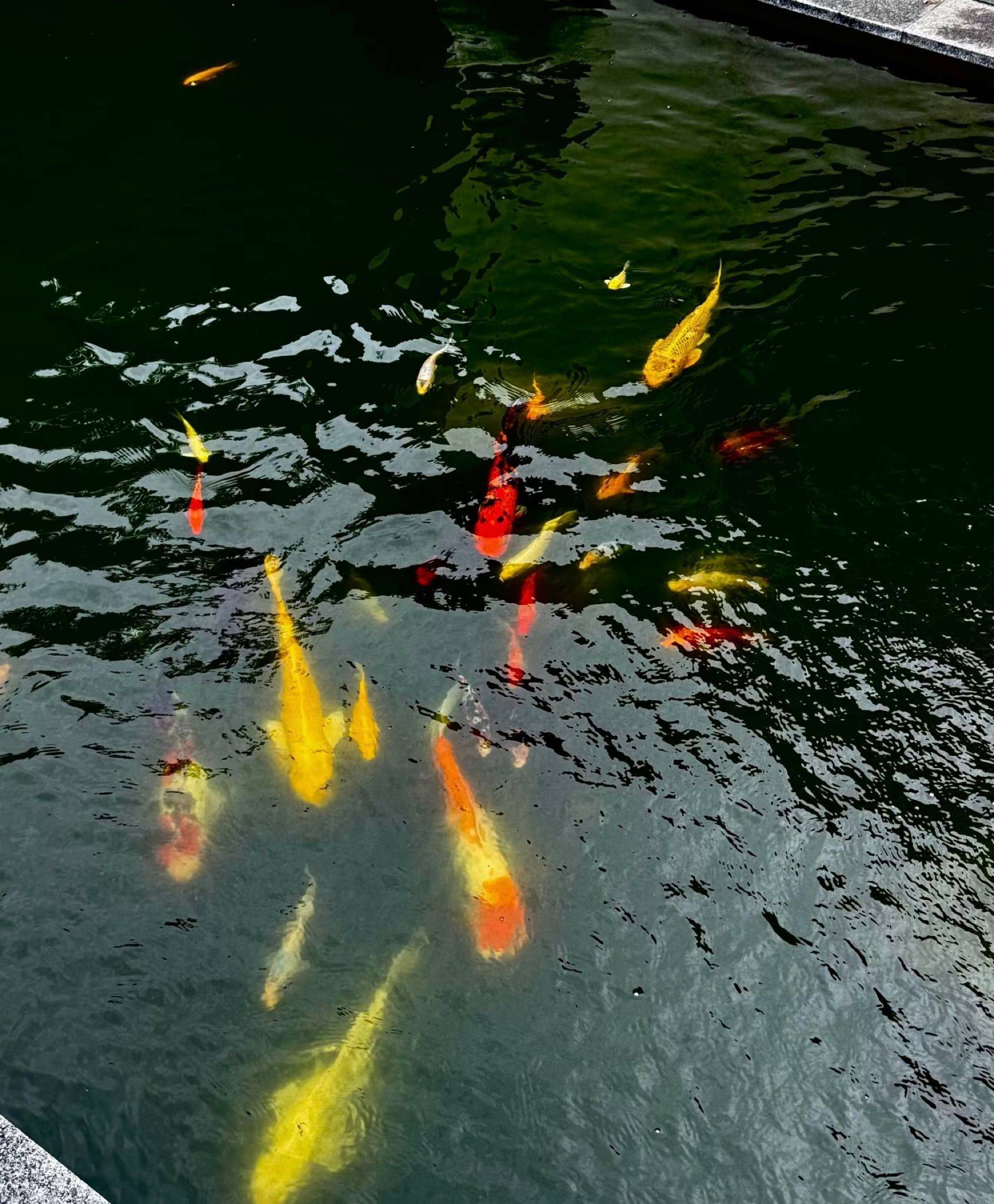 流芳百世