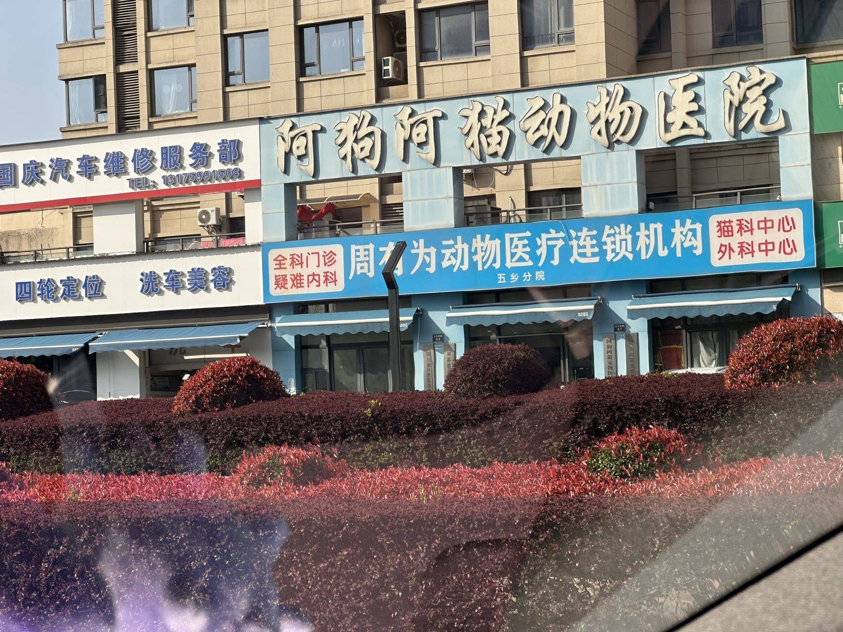 aaaaaa老顾