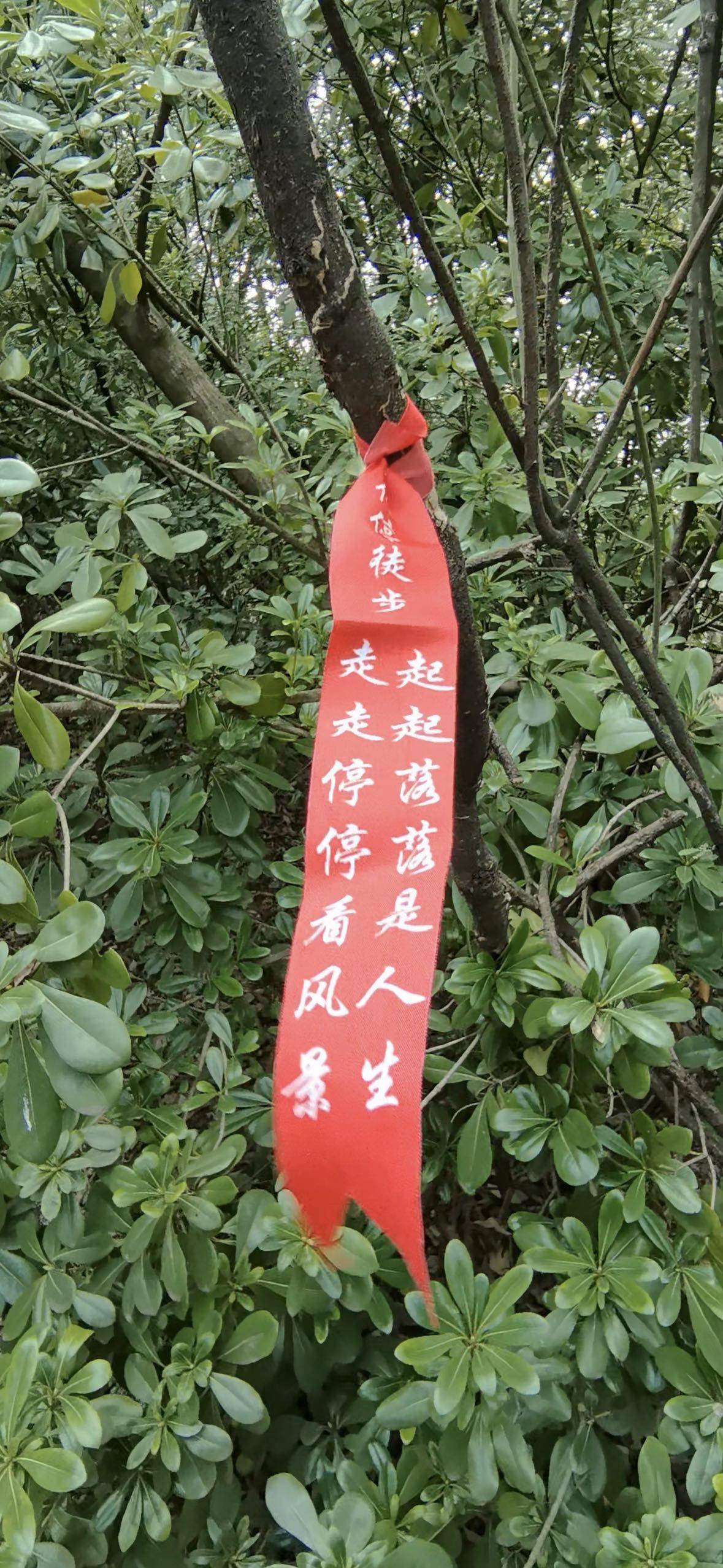123