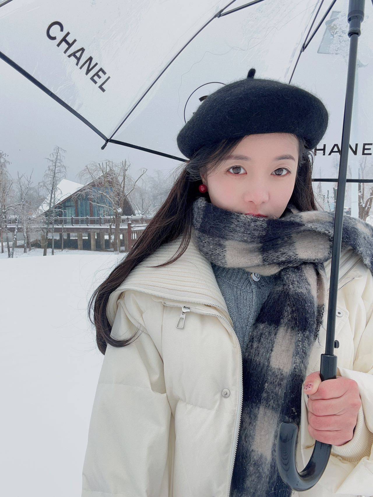猫了个咪(🎀🐱妙妙👗)