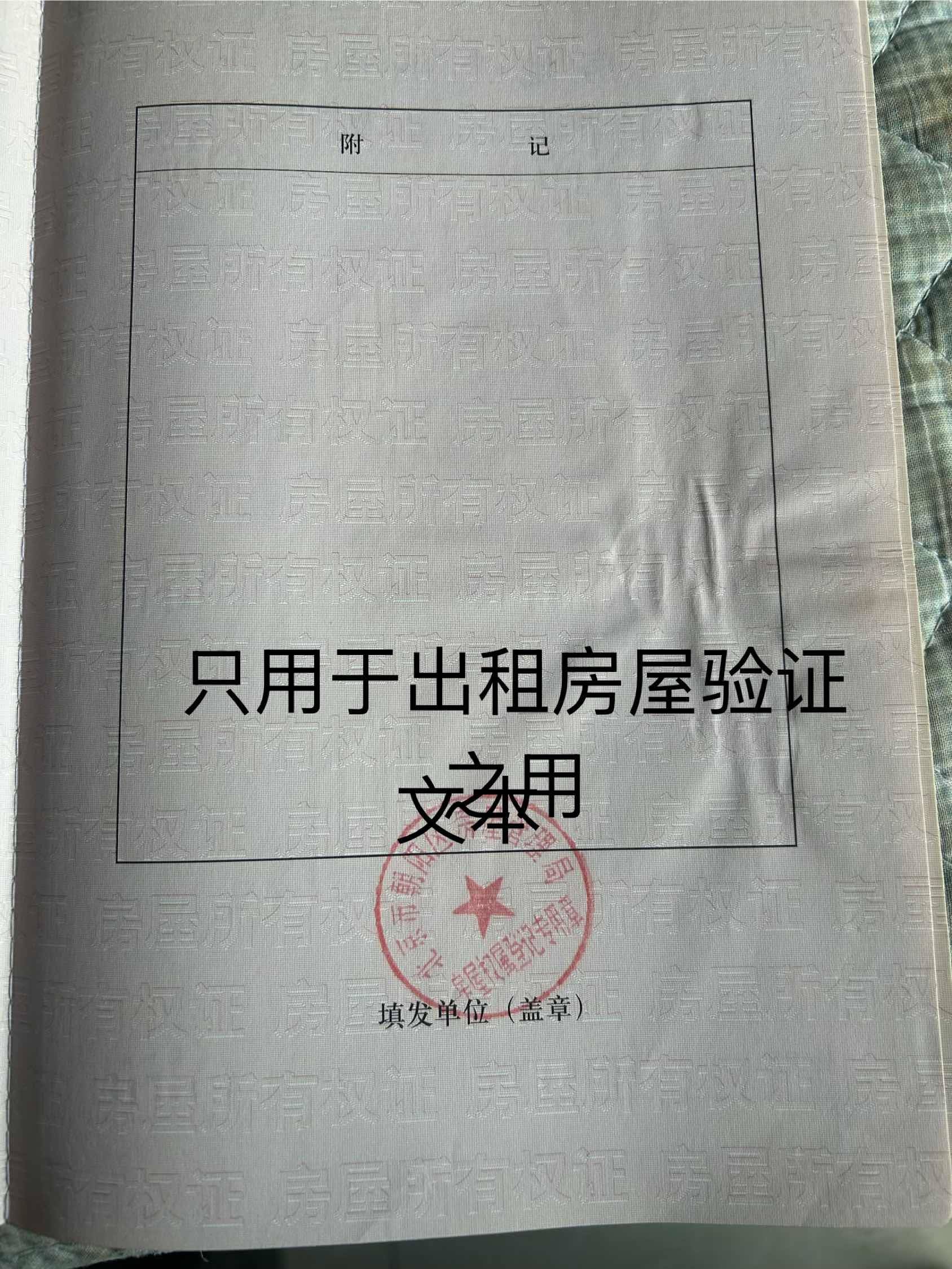 张先生