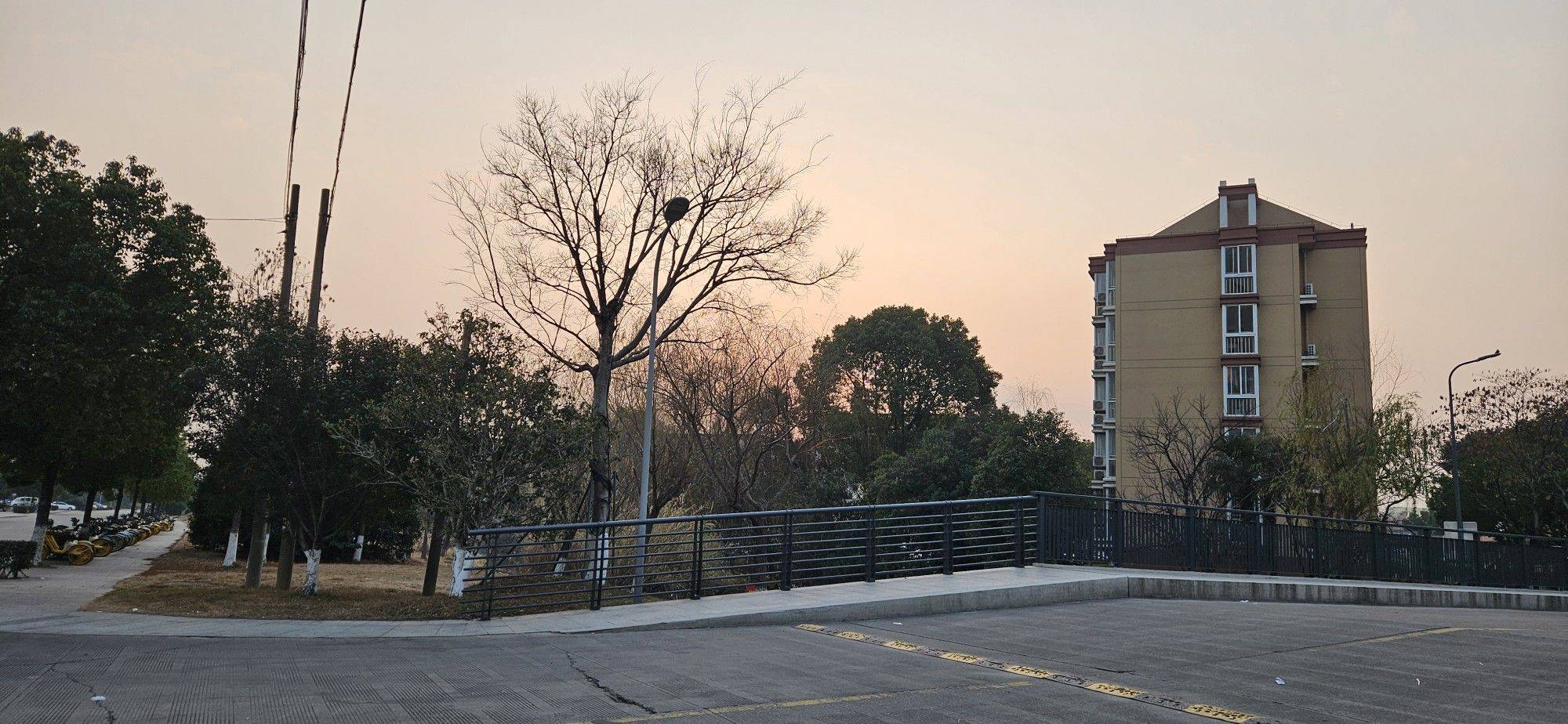 life_photo_2