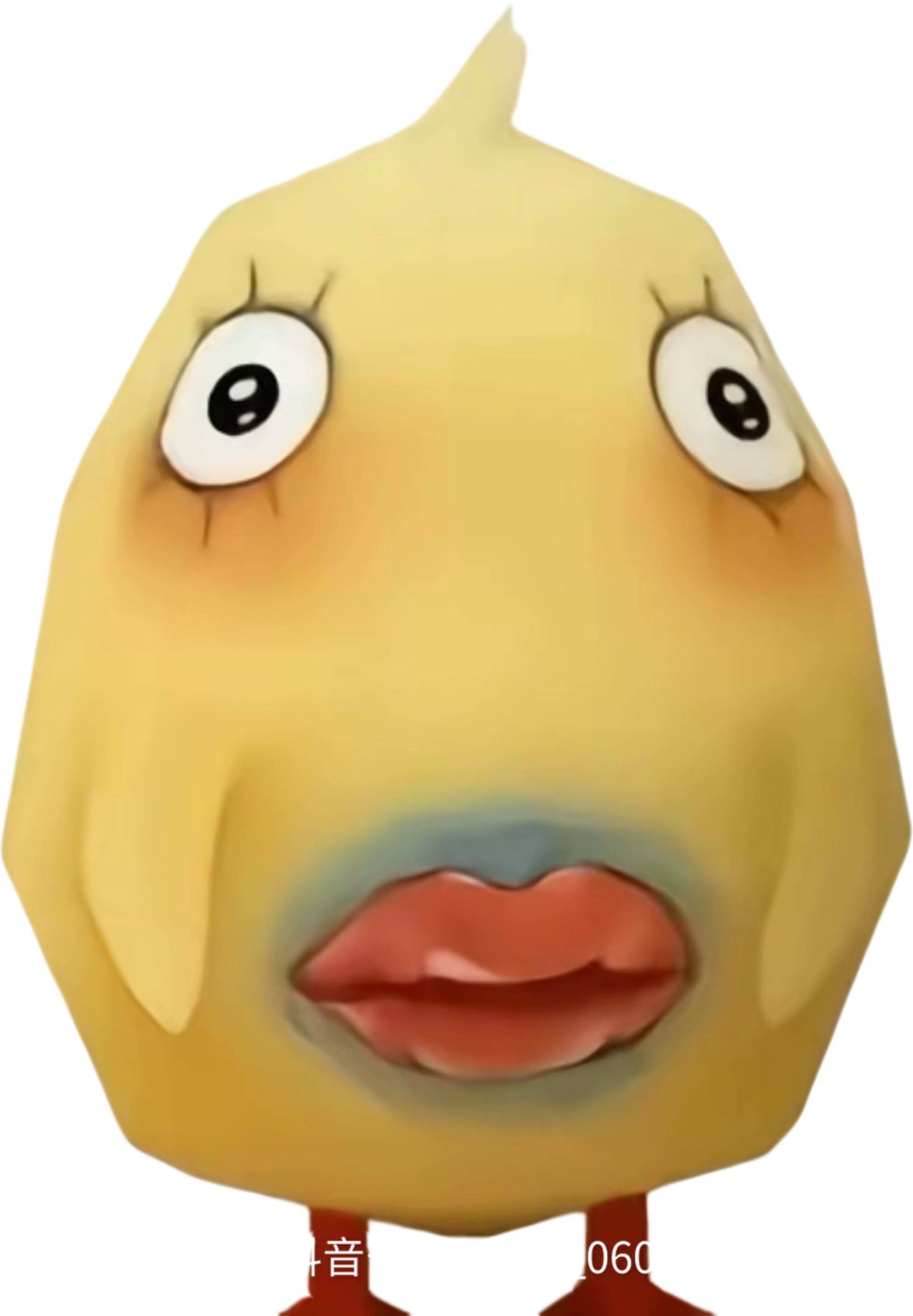 哇哇哇哇