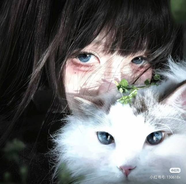 奶冻