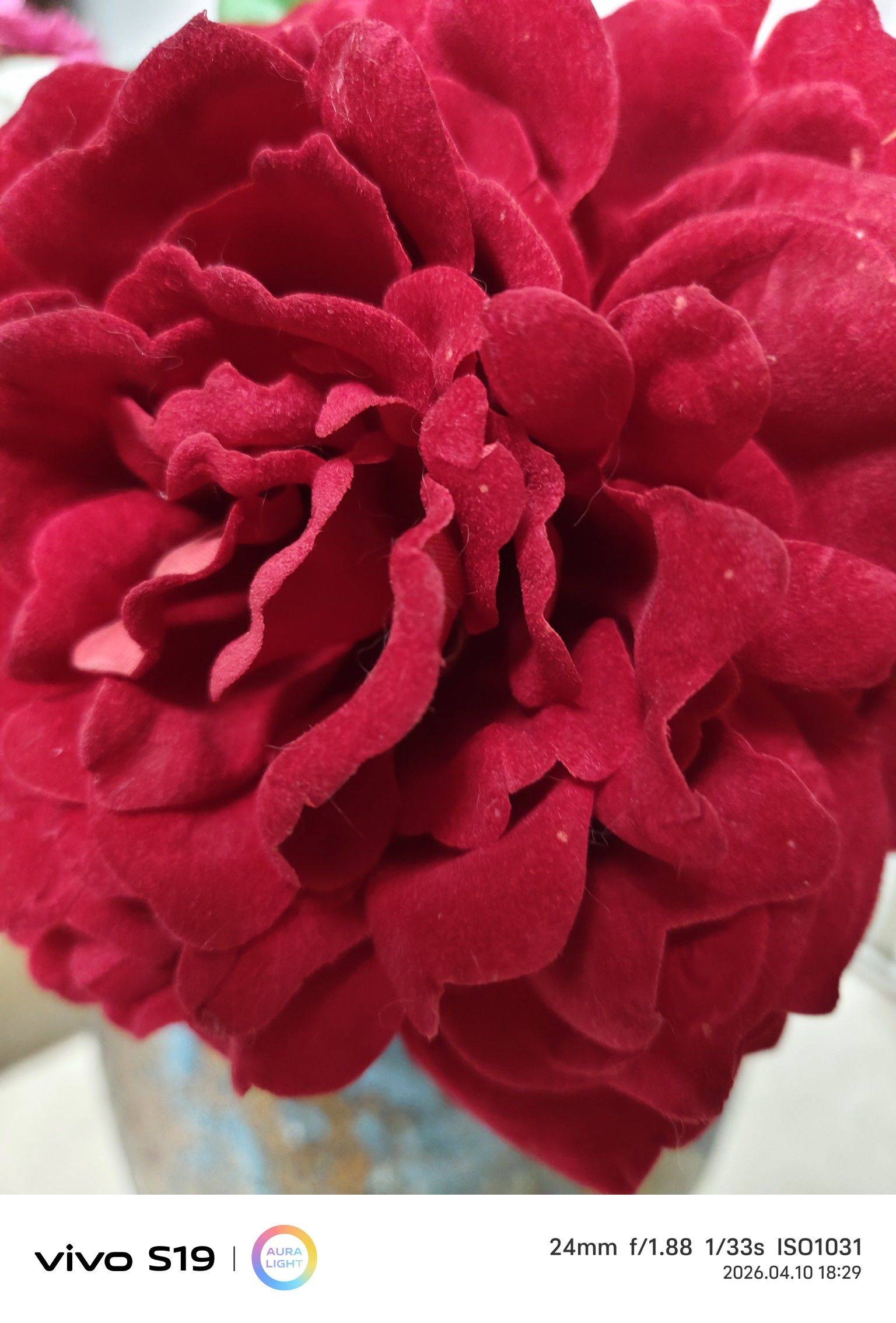 晓莉
