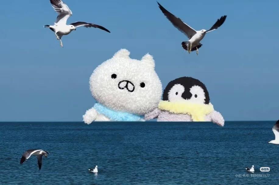 Qinsy.