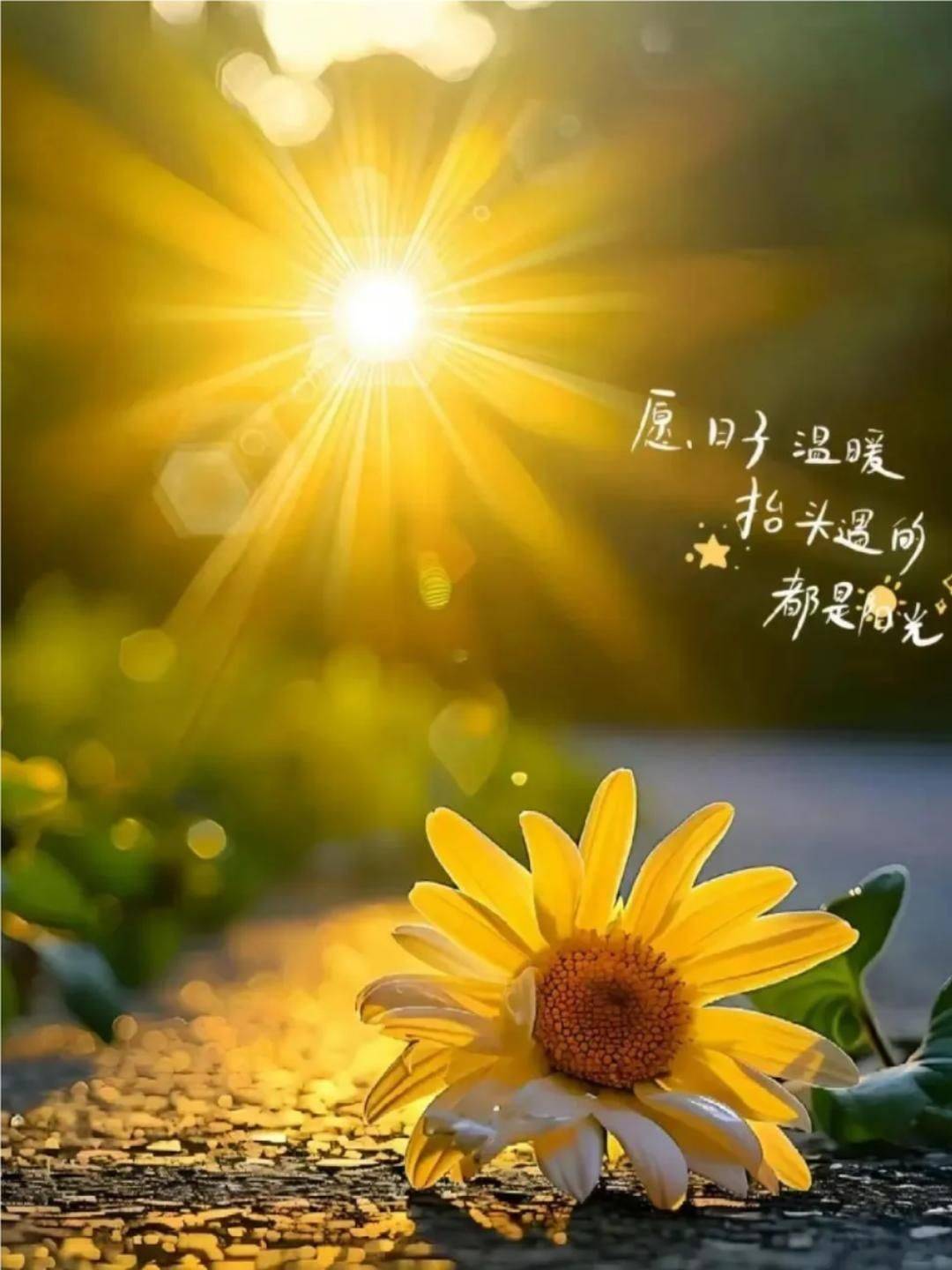 阳光