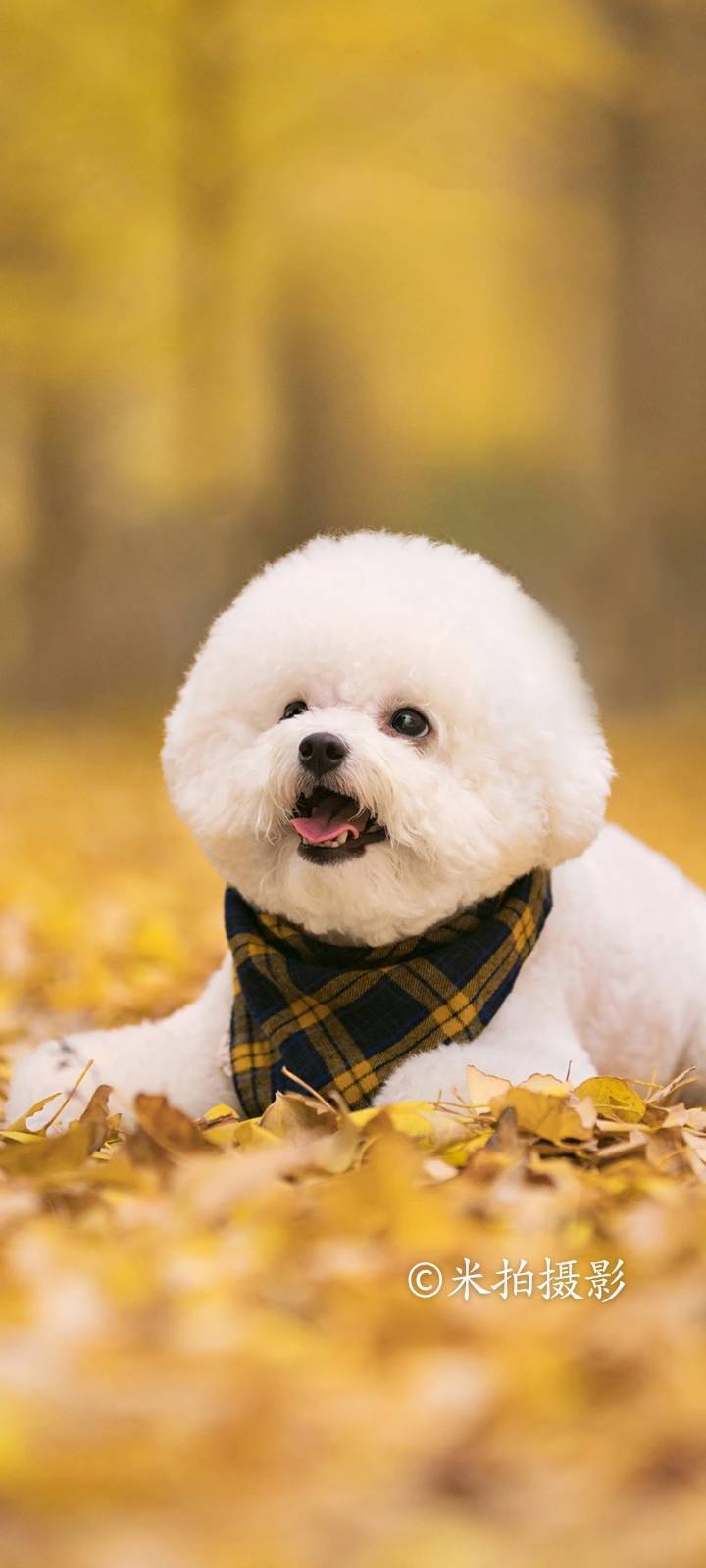暖暖